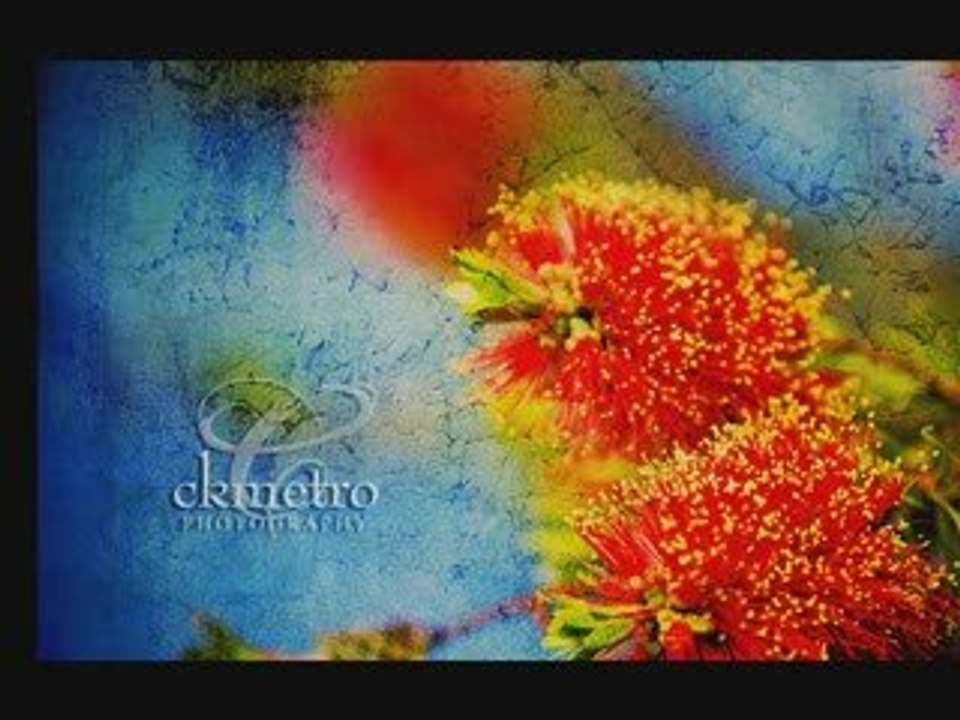 Learn Spanish: colors and basic vocabulary 7/11