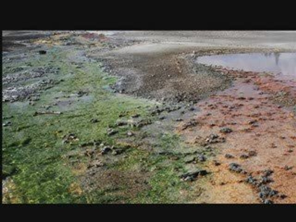 Learn Spanish: colors and basic vocabulary 9/11