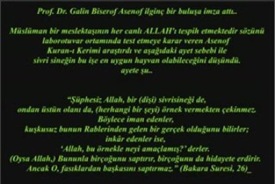 Sivrisineğin Allah deyişi