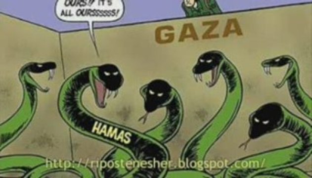 dieudo gouasmi soutiennent le hamas ! un parti terroriste !