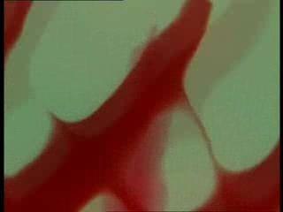 "THE MOTHMAN" Point Pleasant 1 parte