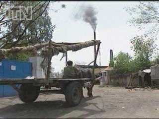 Climate change: Mass migration fears