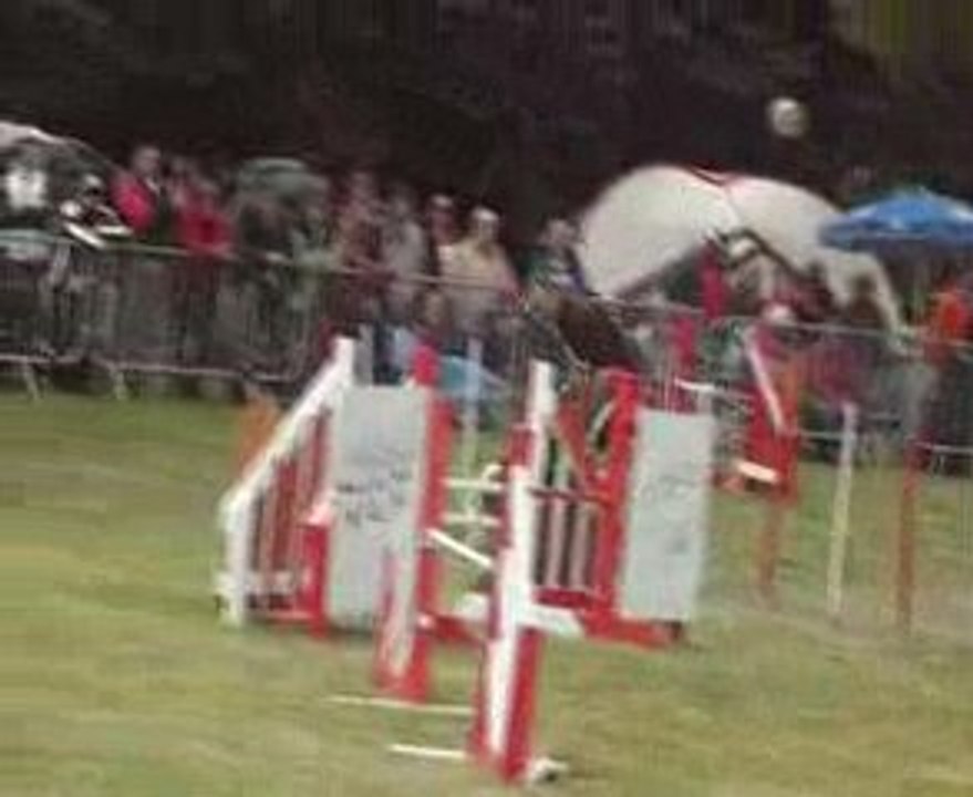 Eric jump cham