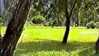 Perak Golf Club - New Club Taiping - Part 1 of 3