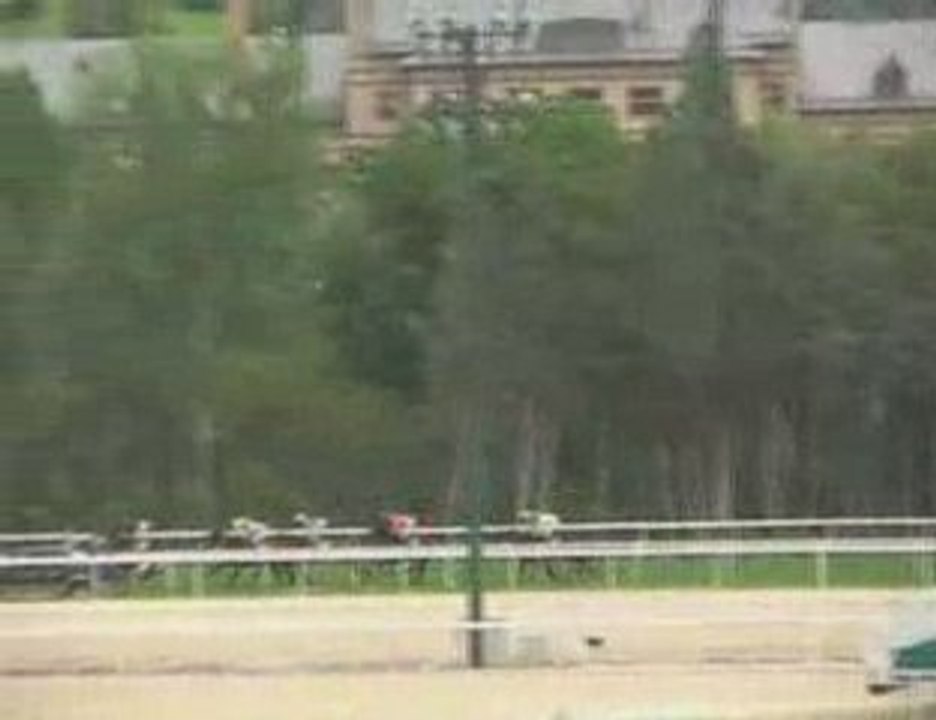 2009 (146) PREMIO CORPA (CATEGORIA B) (FARAMIR -IRE-)