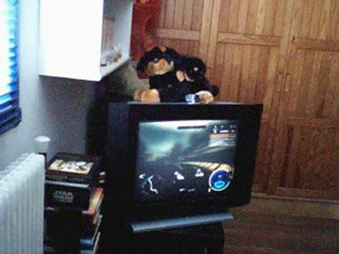 Need For Speed Mostwanted