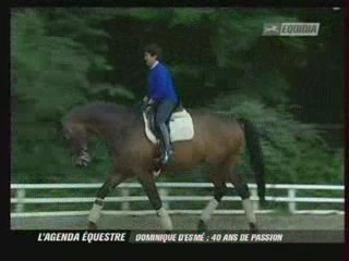 Dominique D'esmée: "40 ans de passion"