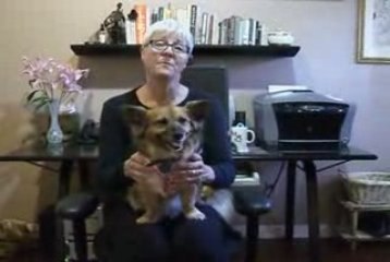 The Inspiration behind Clothing Your Pet