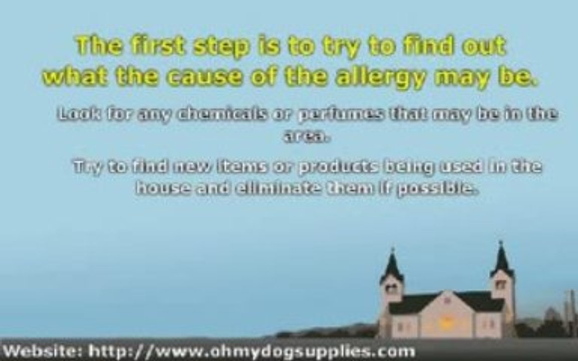 How to Rid Skin Allergies for Dogs