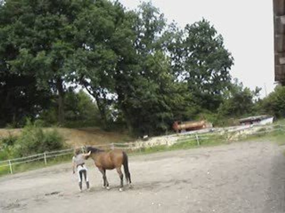 Premières reverences de Radjah