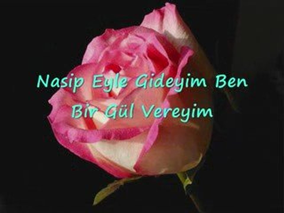 Kemal Erdoğan-Bir Gül Vereyim