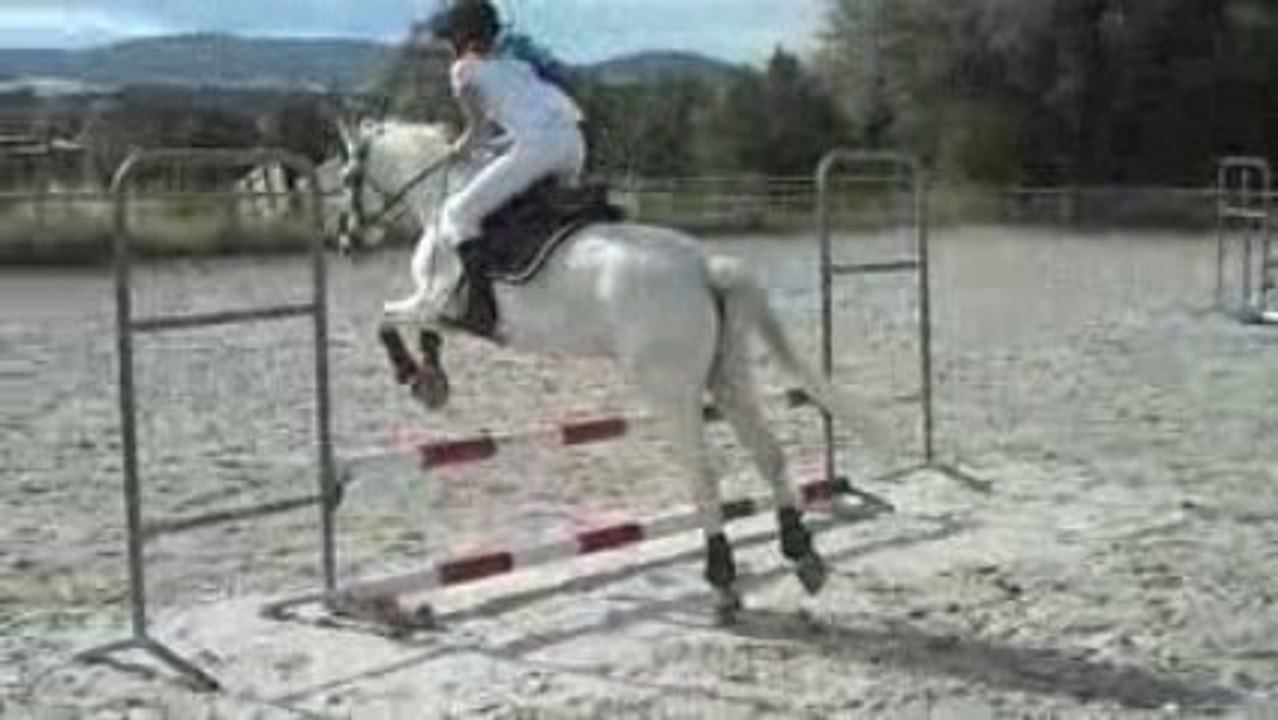 Mathilda et moi obstacle