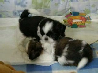 Elora vidéos le 11.06.09