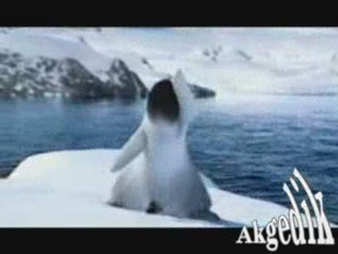 Garip bir kuştu gönlüm - Orhan Hakalmaz