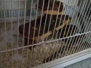 Rencontre KitKat et Naïade 3