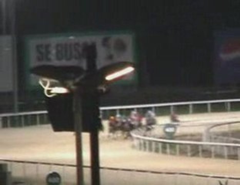 2009 (163) Premio LAYS GOURMET (ISAMAR -IRE-)