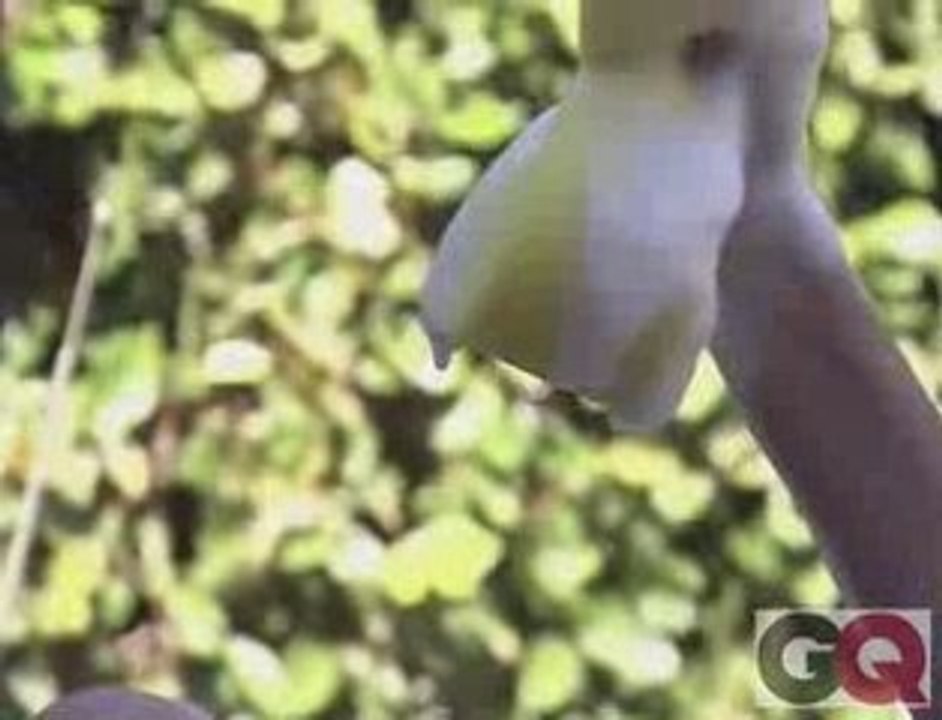 Odette Yustman - GQ Photoshoot