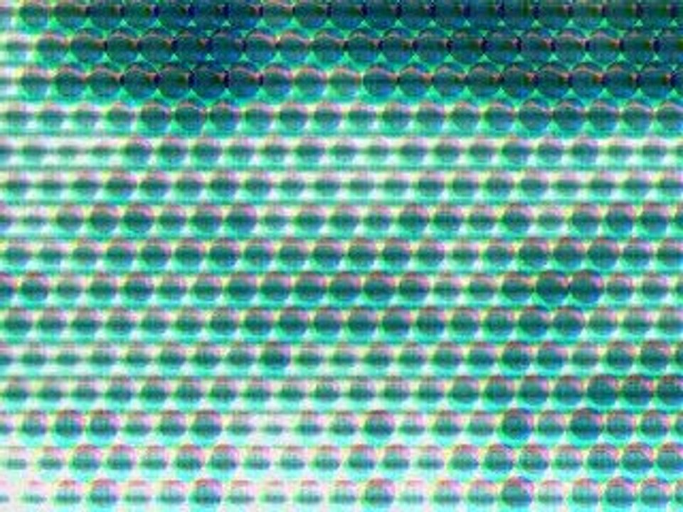 Walter Trout "Workin' Class"