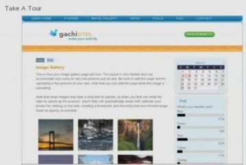 Small Business Website and Small Business Web Design