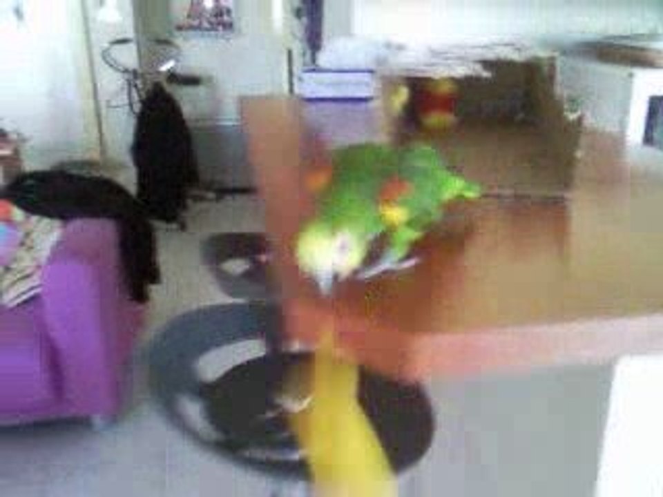 Lola s'amuse!!