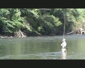ombre en nymphe au fil sur la dordogne