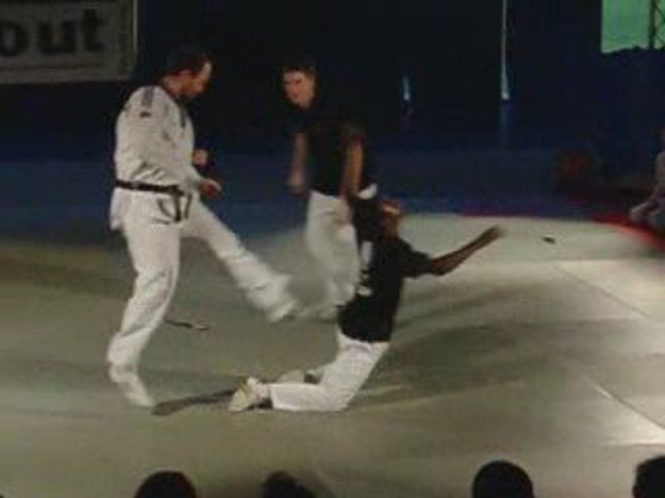 NUITS DES ARTS MARTIAUX SELF IMPACT OSTWALD