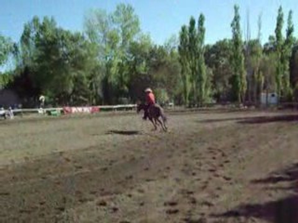 Jean Jacques Borreil en reining