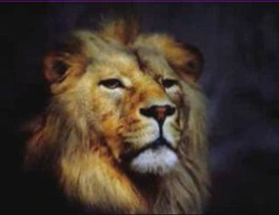 Championnat de France agility 09