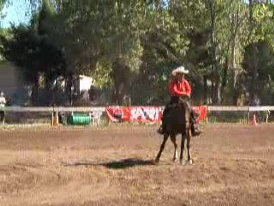 Jean Jacques Borreil en reining 3