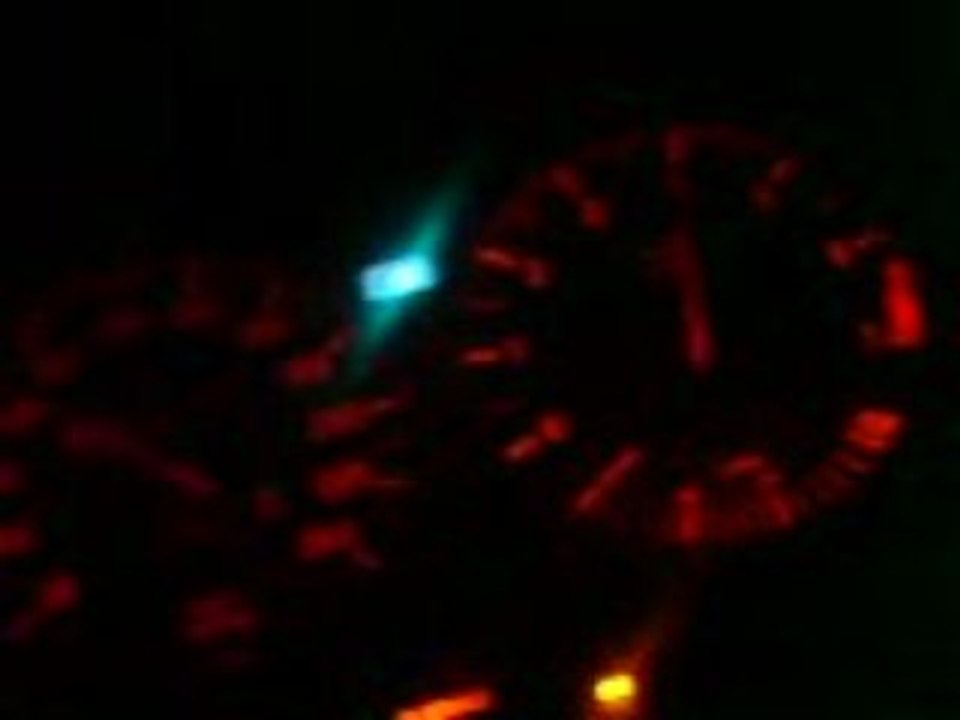 320i E30 Collecteur Inox