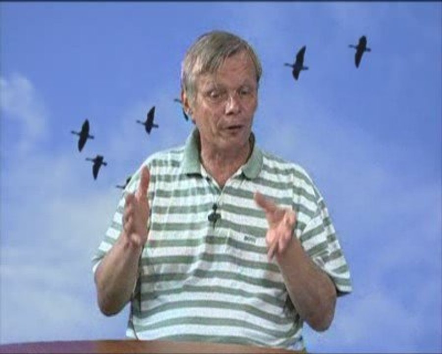 Migrations des oiseaux