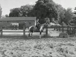 Ma jument & Moi ( xlL )