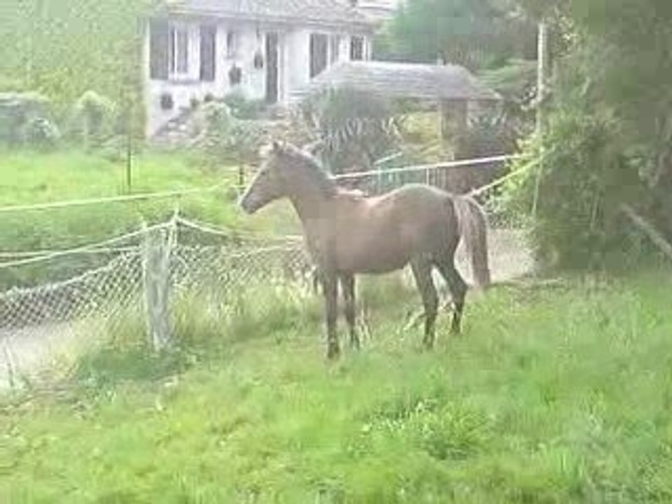 V210509_18.56