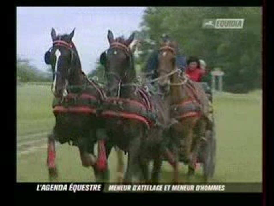 Stéphane Chouzenoux: "Meneur d'attelage et meneur d'hommes"