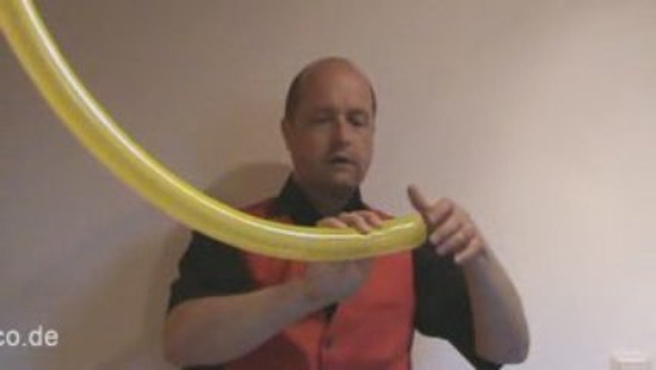 Papagei-vid