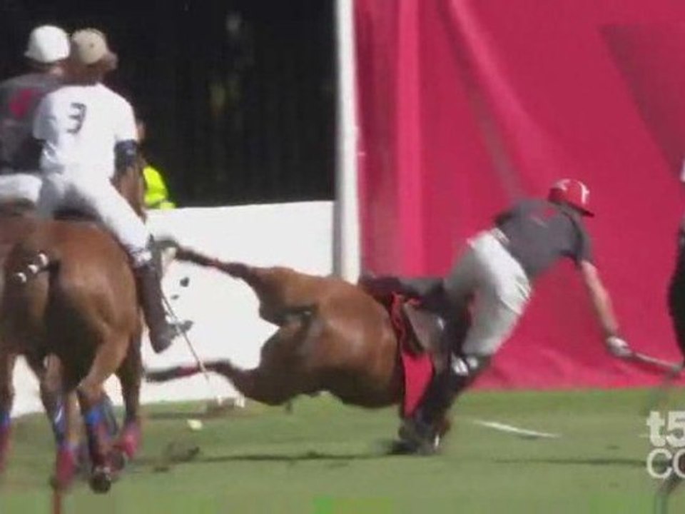 Daniel Fox-Davies polo is ‘golf on horseback at 45mph’