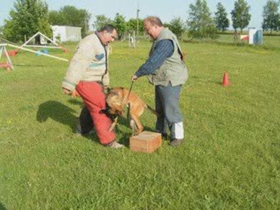 Durtal 2009 juin