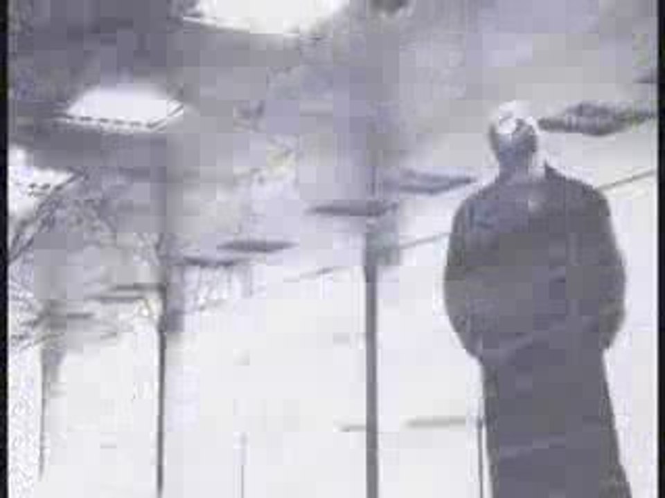 La Fondation Cartier pour l'art contemporain depuis 1984