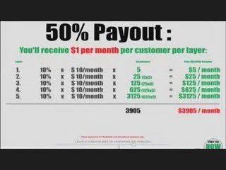 Income-at-home.ws Paypal proof.
