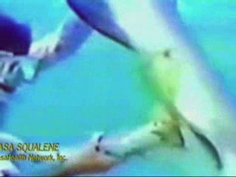 1 MHN Shark