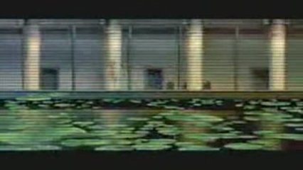 Amv one piece goodbye