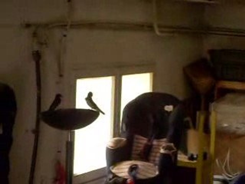 dans mon garage