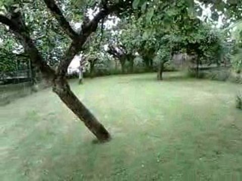 Truggy Brushless 4WD 1/18 - Clone RC18 - 1ère sortie