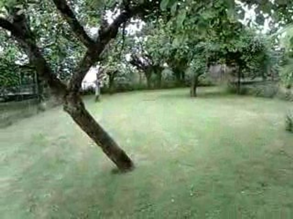 Truggy Brushless 4WD 1/18 - Clone RC18 - 1ère sortie