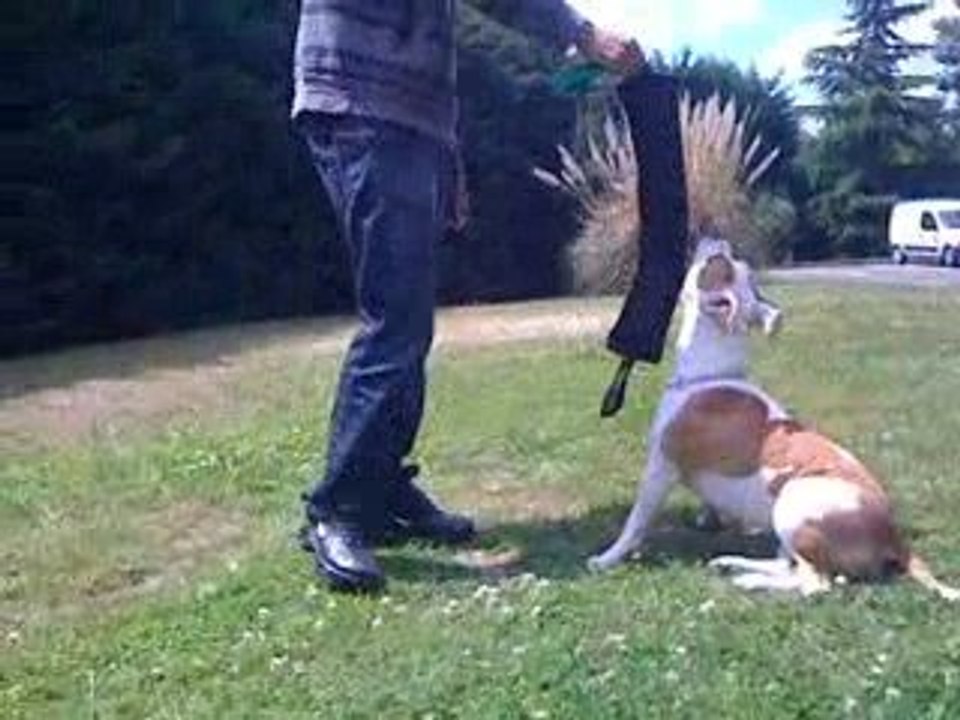 dolly du domaine de zeus
