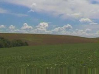 La campagne OGM de Greenpeace France