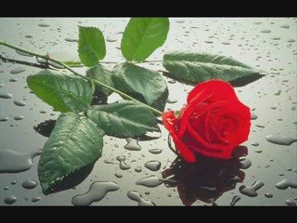 Berker - Gözlerime Çizdim Seni