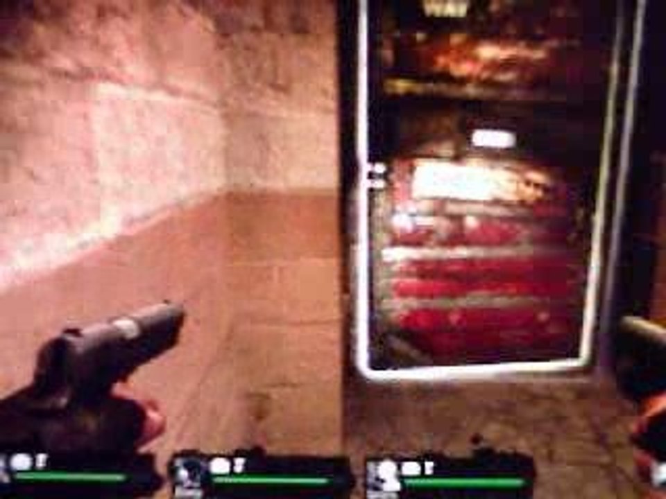 Gameplay Left 4 Dead (PC)