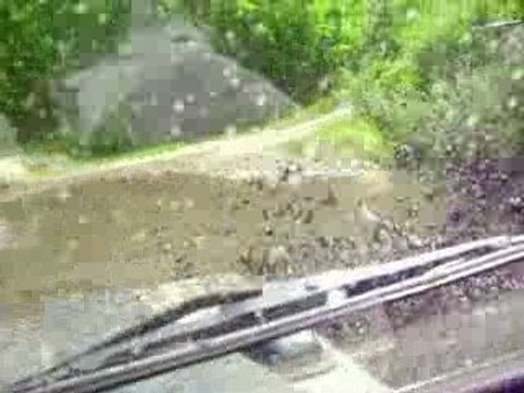 sortie land rover au marquenterre (5)