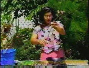 Programa Siempre Verde 5 - Tv canal 7 - Parte 3